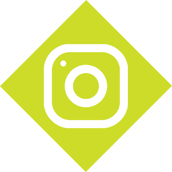 Instagram Footer Icon